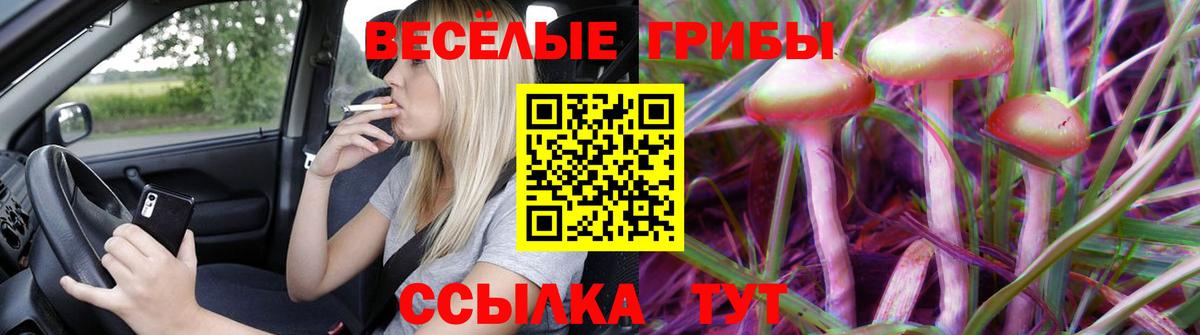 Галлюциногенные грибы мухоморы Стрежевой