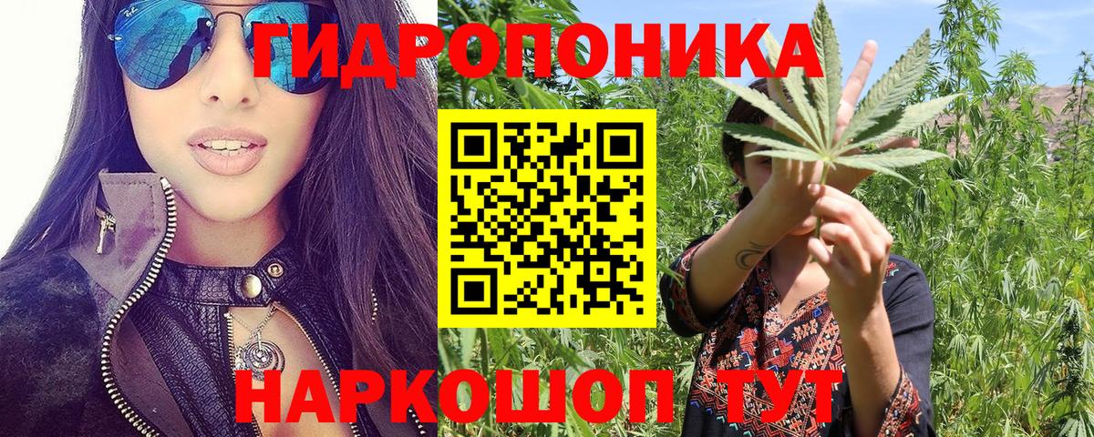 МАРИХУАНА Ganja  Марихуана сатива  Вход с VPN  Конопля план  Стрежевой  Марихуана White Widow 